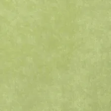 Bravo 72