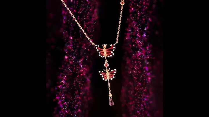 Roberto Bravo: Monarch Butterfly Collection