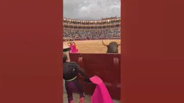salto de un toro bravo al callejon de la plaza de toros de las ventas