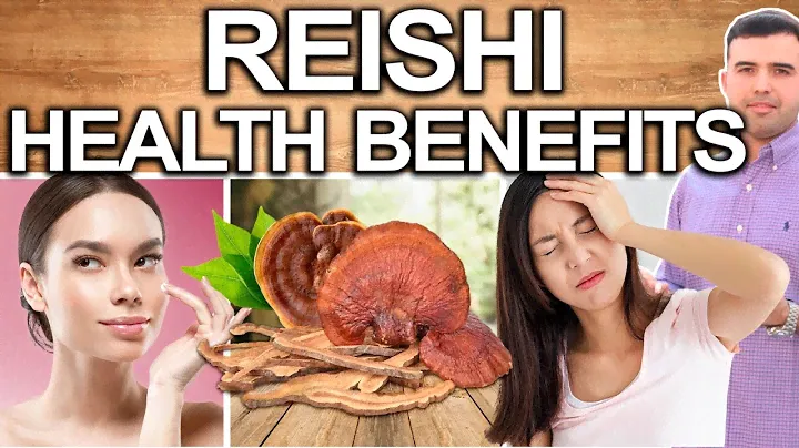 REISHI MUSHROOMS EVERY DAY! - Best Ways To Take, Uses, Side Effects And Contraindications