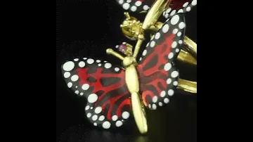 Roberto Bravo - Monarch Butterfly Collection