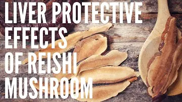Liver Protective Effects of Reishi: Detox, Reverse Liver Cirrhosis & Protection