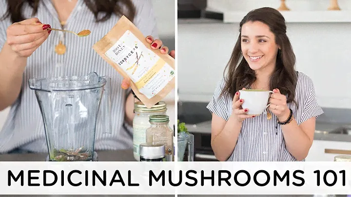 BENEFITS OF MEDICINAL MUSHROOMS 🍄+ my top 4 favorites